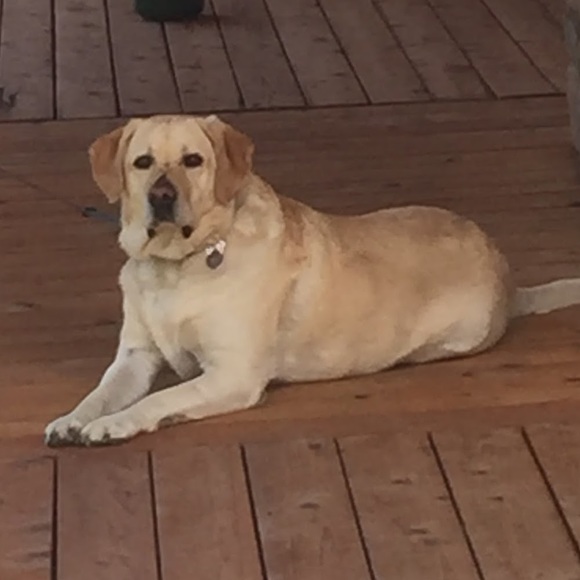 Meet your Posher, Jessica - Picture 1 of 1